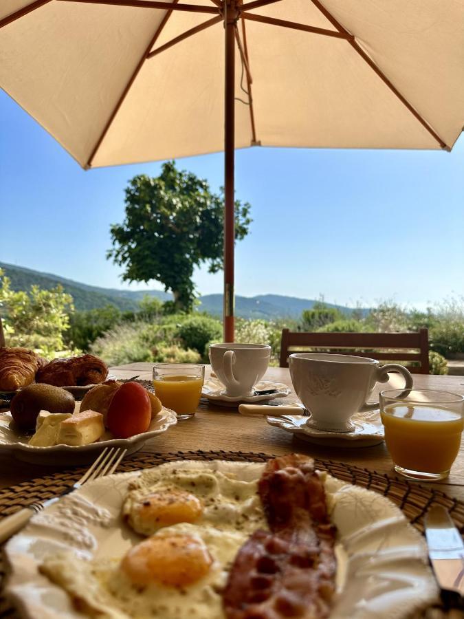 Bed and Breakfast Le Mas Saint Michel Grimaud Exteriér fotografie