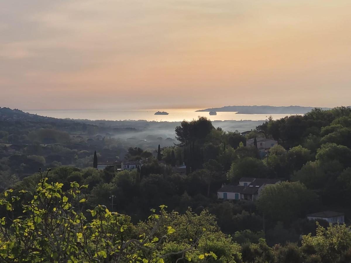 Bed and Breakfast Le Mas Saint Michel Grimaud Exteriér fotografie